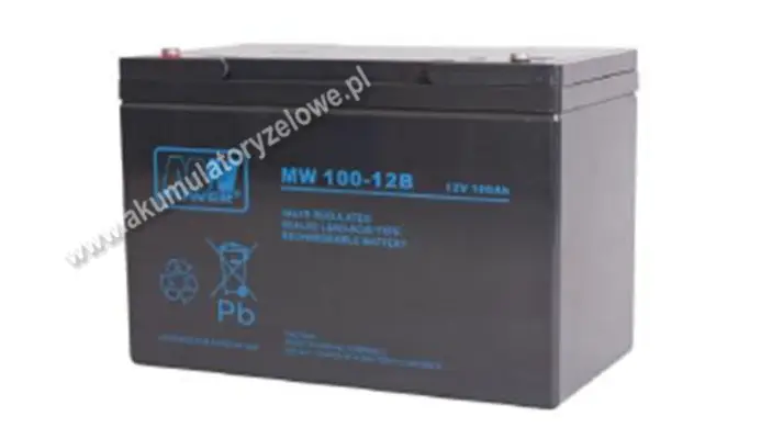 MW Power MW 100-12B